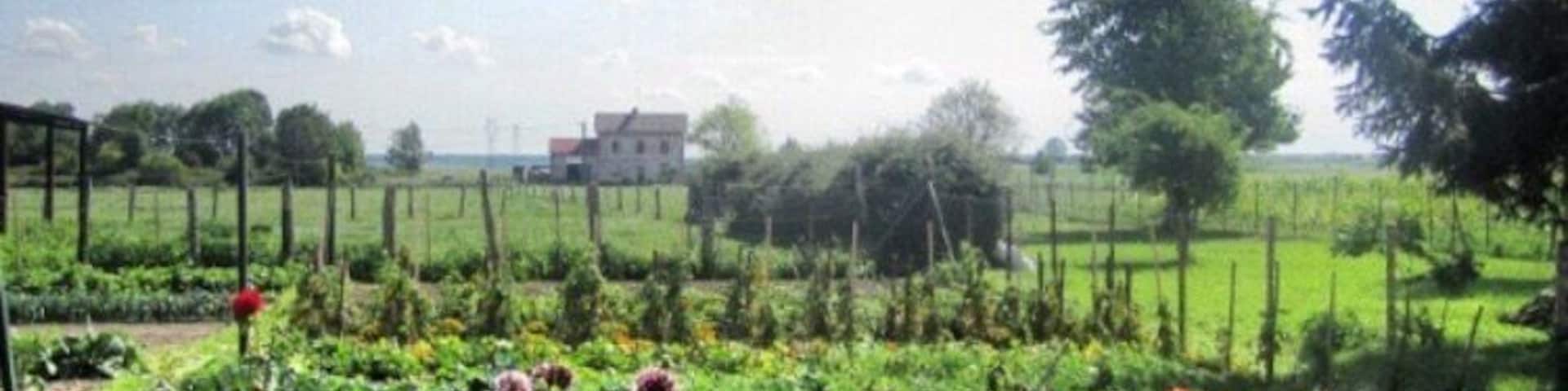 Wonderful kitchengarden 🍅🥕 (Ognolles - France)
May 2012 - Samsung Galaxy SII
#Ognolles #Oise #France #Kitchengarden #Europe