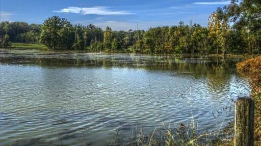 Etang St Aubin (Etang des Marais)