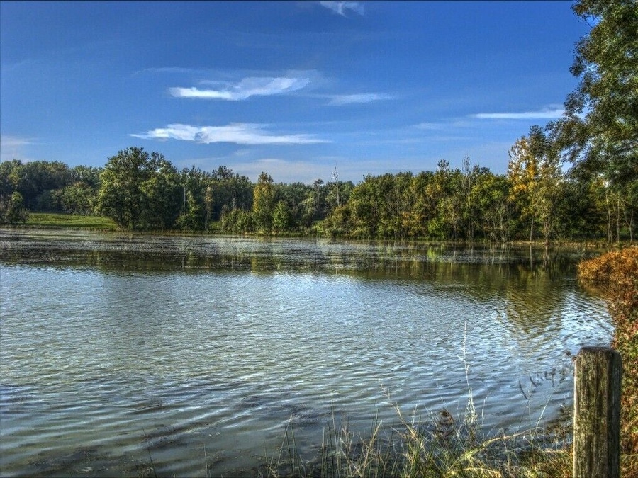 A calm lake surrounded by trees and a clear sky.