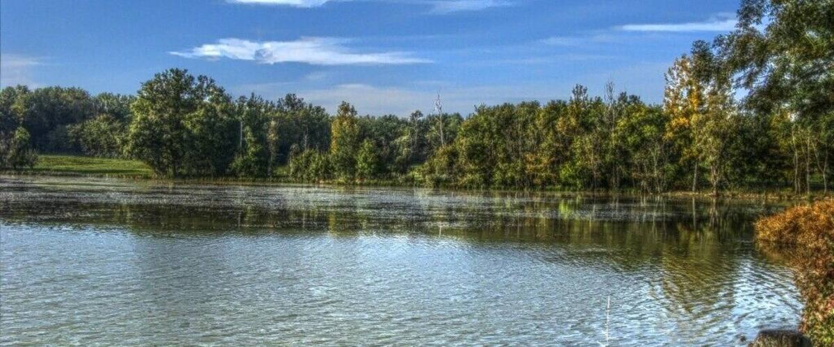 A calm lake surrounded by trees and a clear sky.
