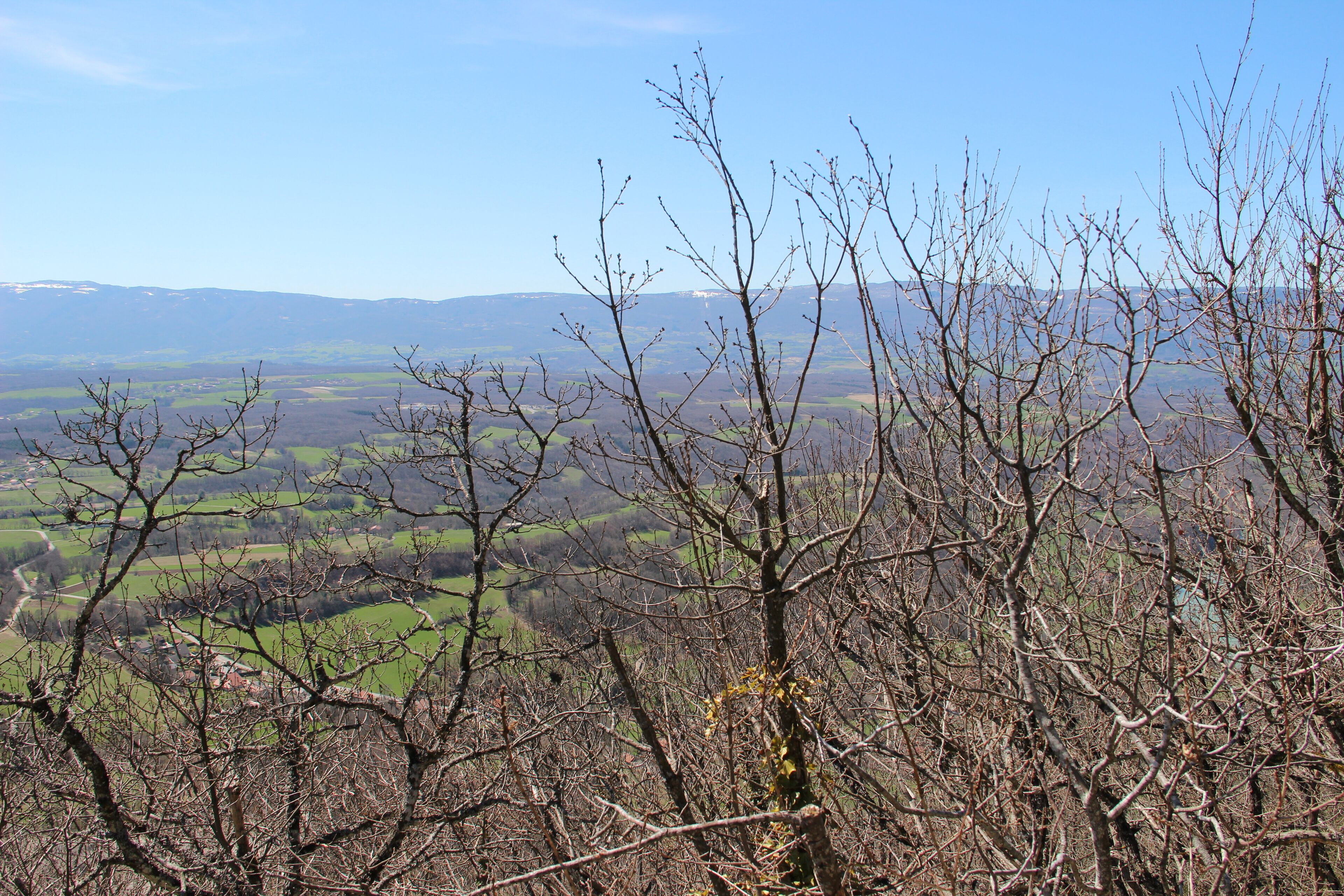 Panoramic view from the Vuache