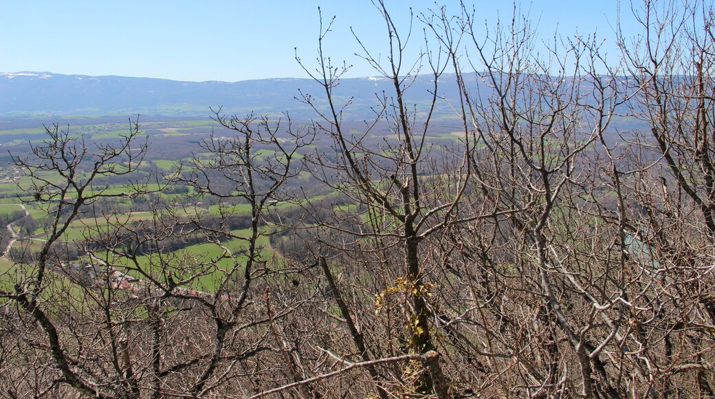 Panoramic view from the Vuache