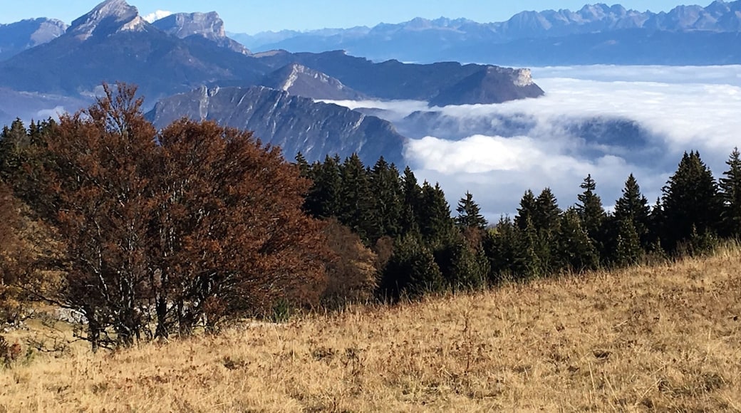 Vue magnifique sur l'agglomération grenobloise !