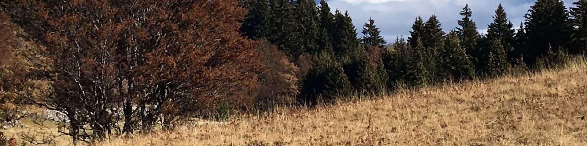 Vue magnifique sur l'agglomération grenobloise !