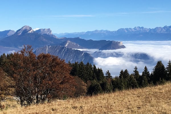 Vue magnifique sur l'agglomération grenobloise !