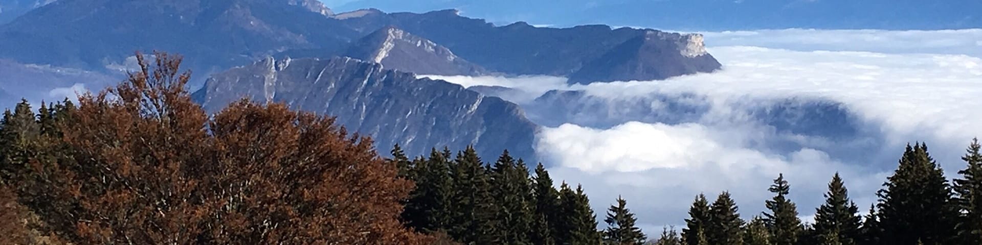 Vue magnifique sur l'agglomération grenobloise !
