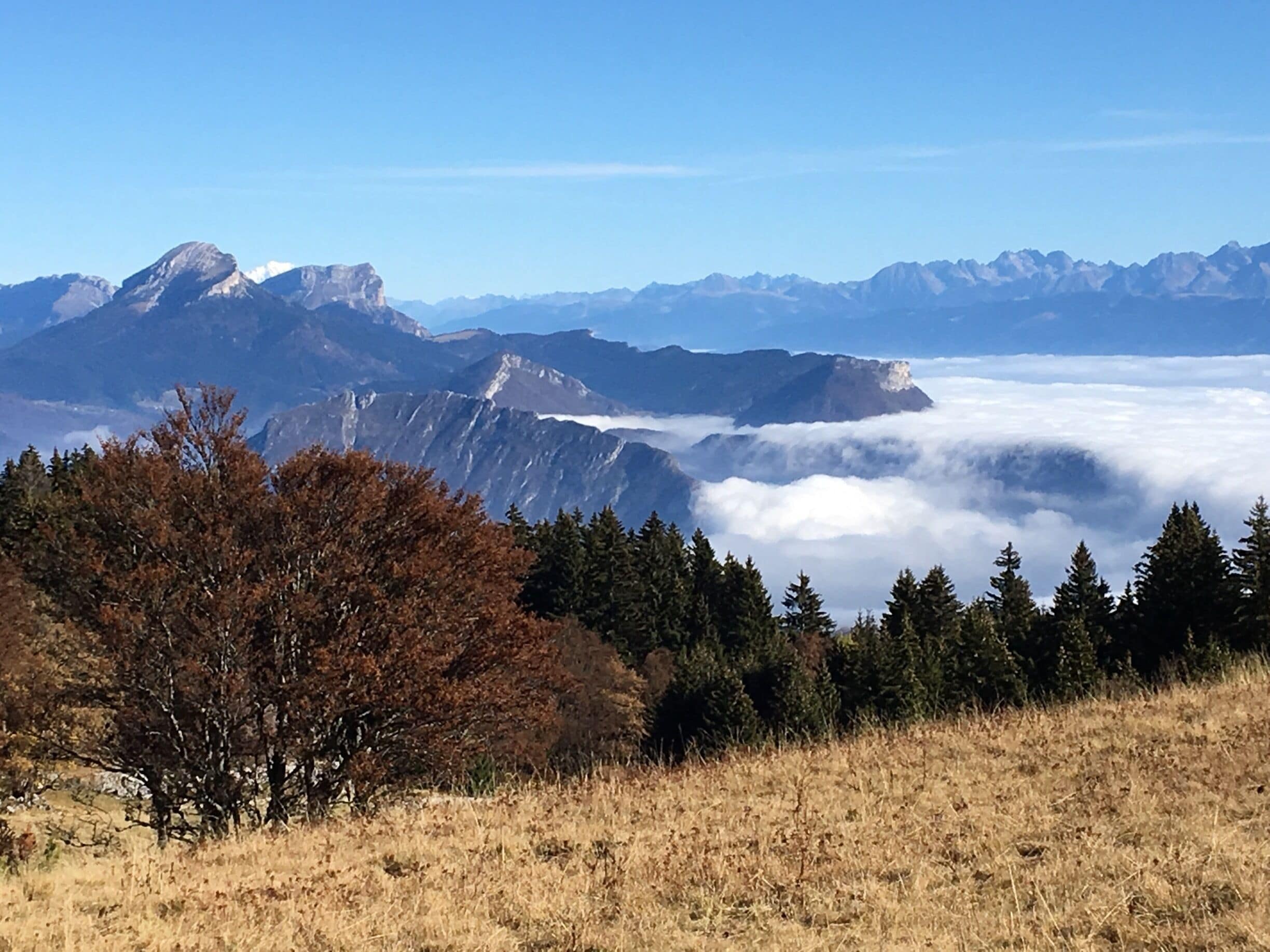 A mountain range with a tree-covered foreground and a valley below.