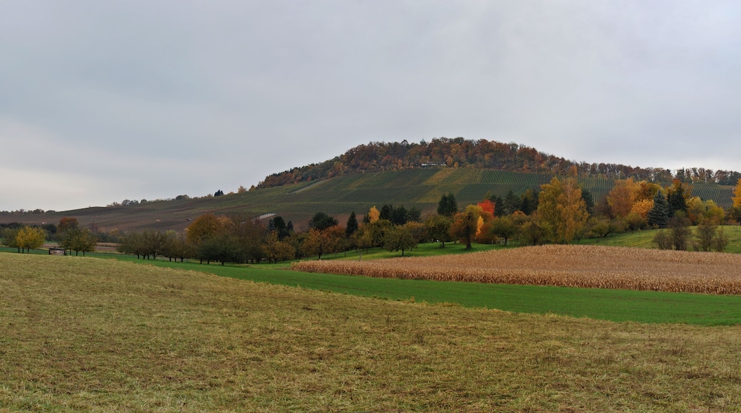 The mountain Wunnenstein in the district of Ludwigsburg, Baden-Württemberg.
