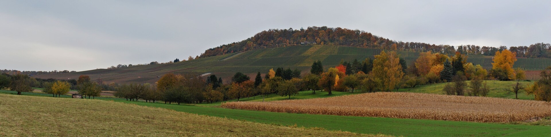 The mountain Wunnenstein in the district of Ludwigsburg, Baden-Württemberg.