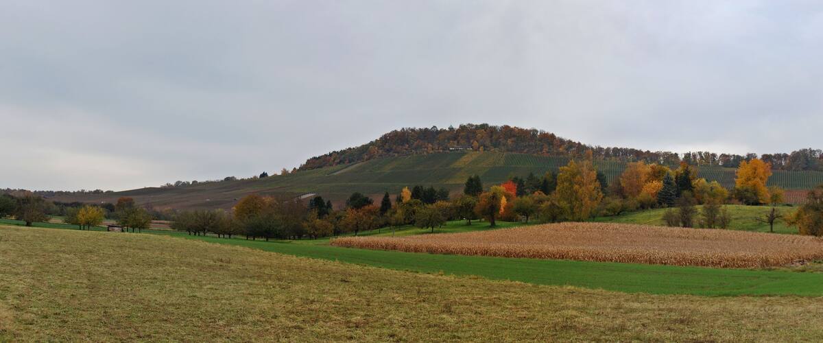 A hilly landscape with autumn-colored trees and fields.