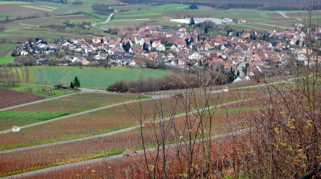 Ausblick von der Berggaststätte auf dem Wunnensteinberg