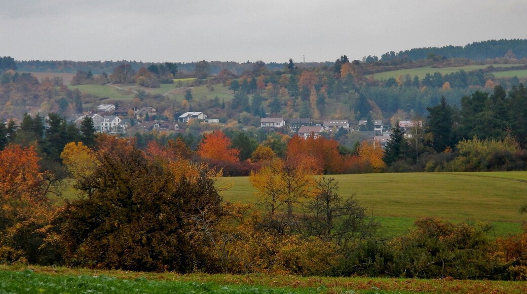 Heckengäu, Land.Tour SchafSpuren