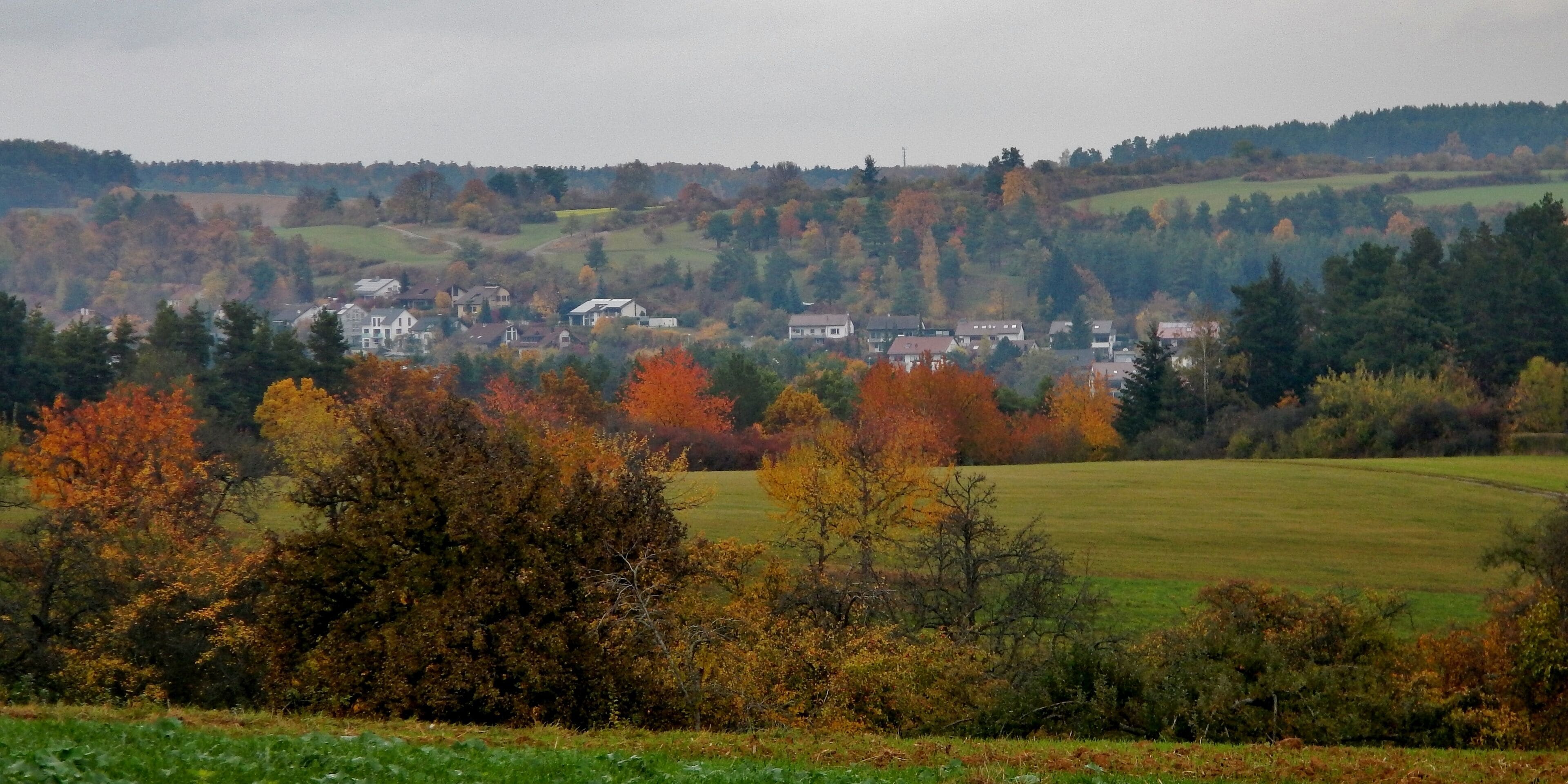 A rural landscape with autumn-colored trees, rolling hills, and a cluster of houses in the valley.