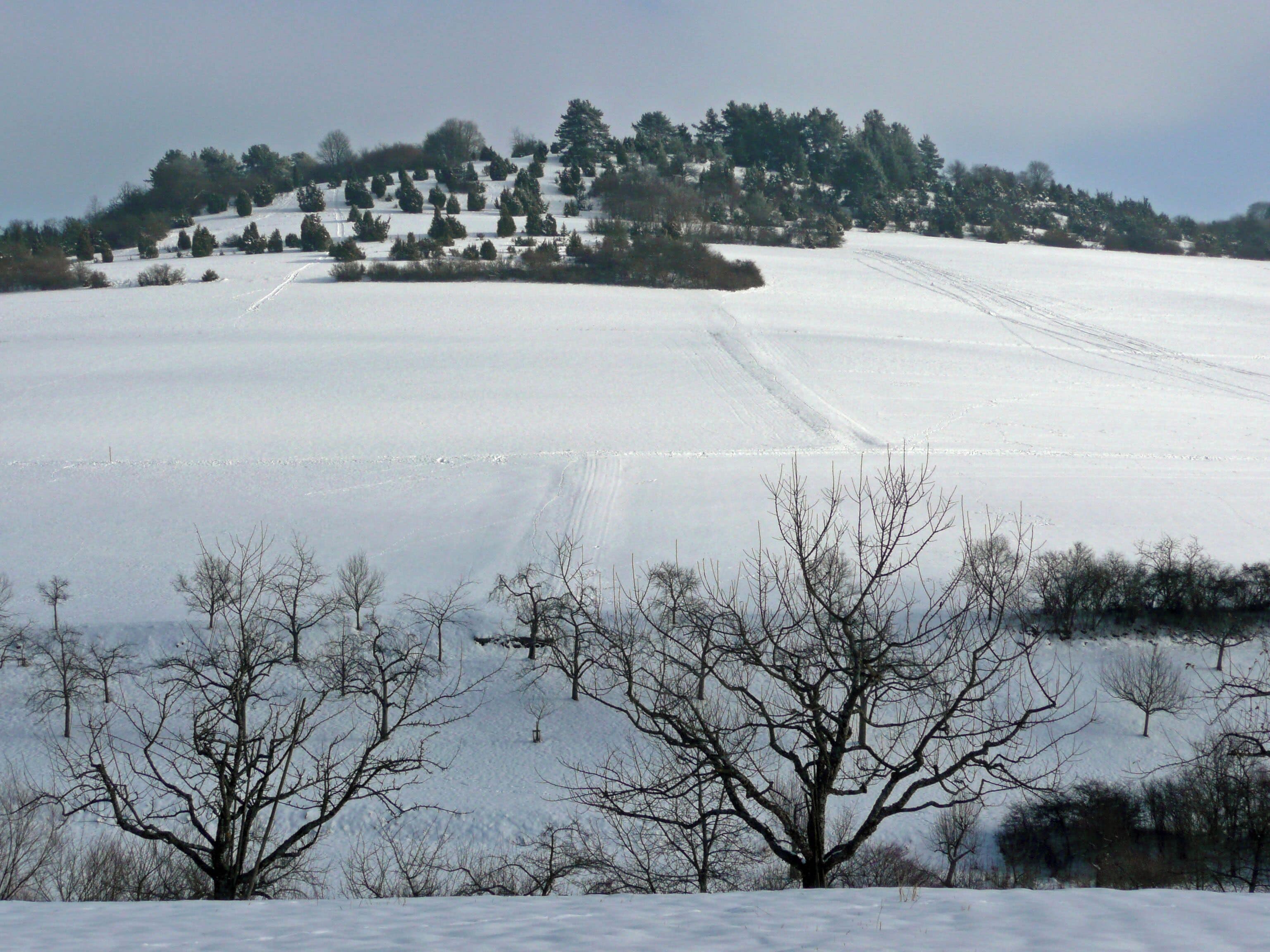 In der Nähe von Dachtel