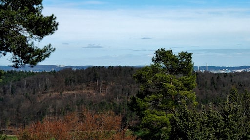Blick Richtung Sindelfingen (Krankenhaus, Mercedes-Benz Werk)