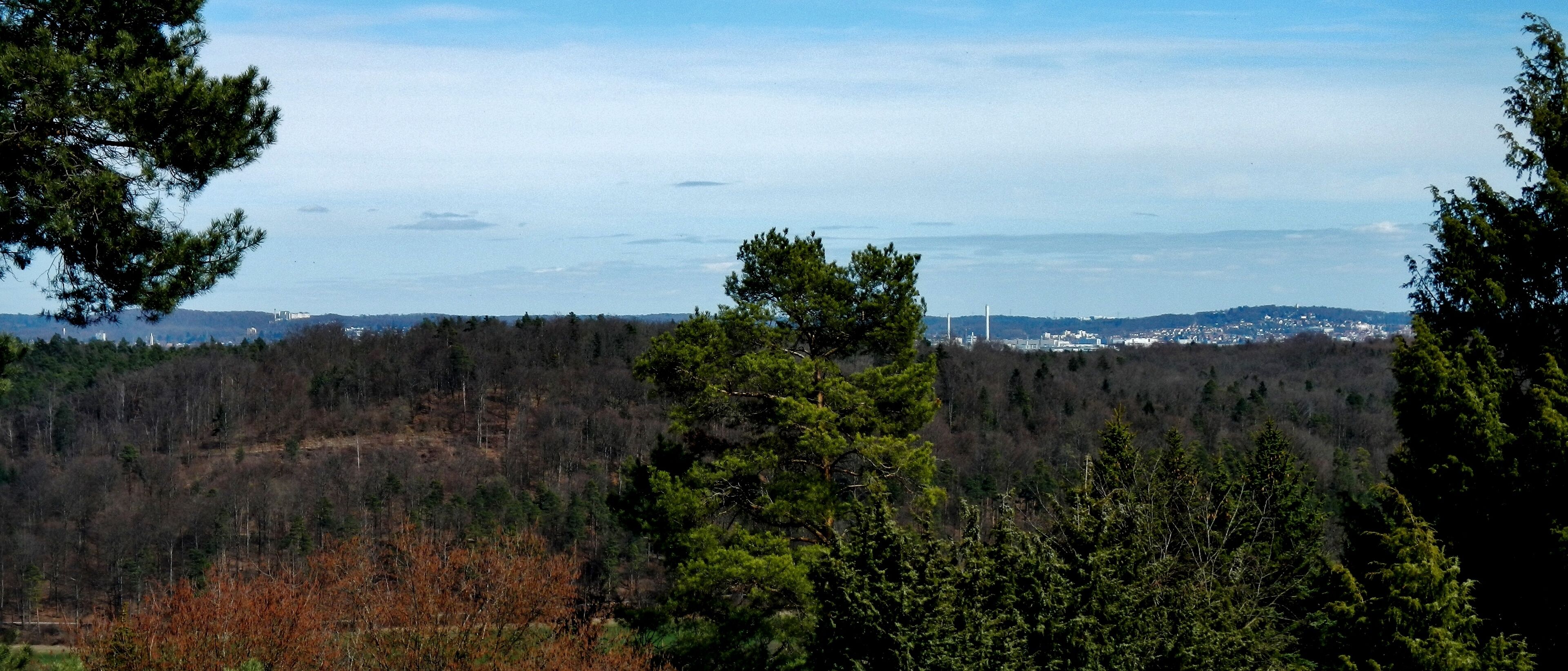A forested landscape with a distant view of a city and a wind turbine.