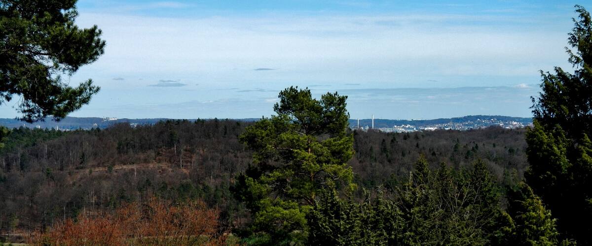 A forested landscape with a distant view of a city and a wind turbine.