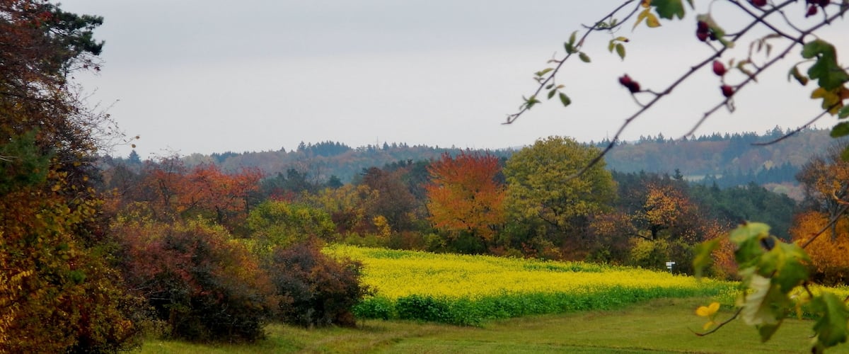 Heckengäu, Land.Tour SchafSpuren
