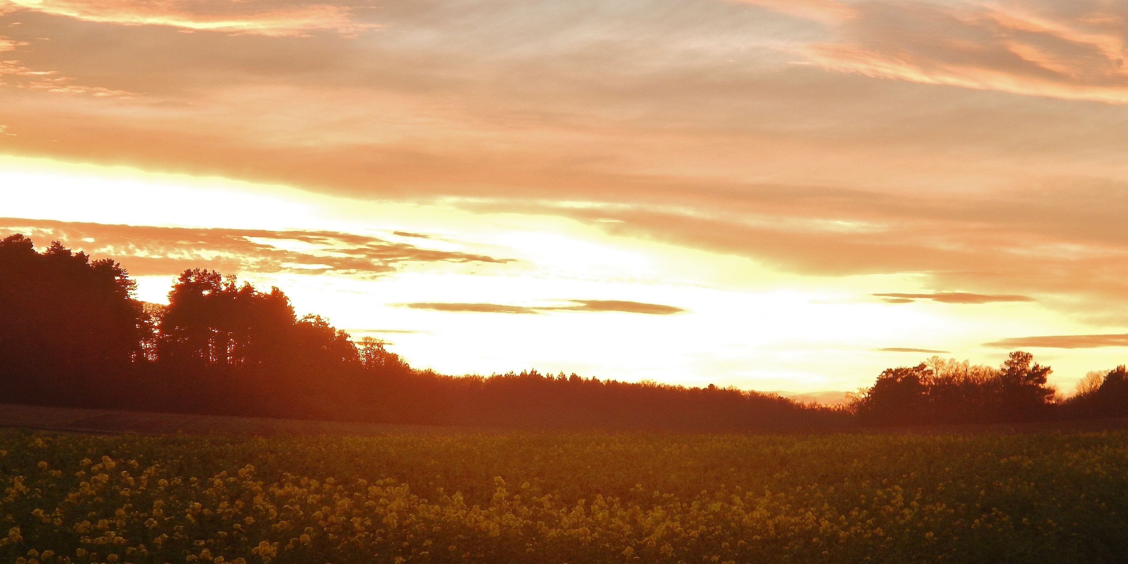 Sonnenuntergang beim Naturschutzgebiet Venusberg