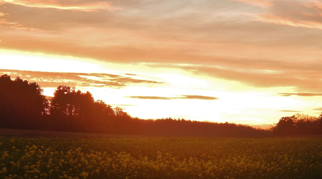 Sonnenuntergang beim Naturschutzgebiet Venusberg