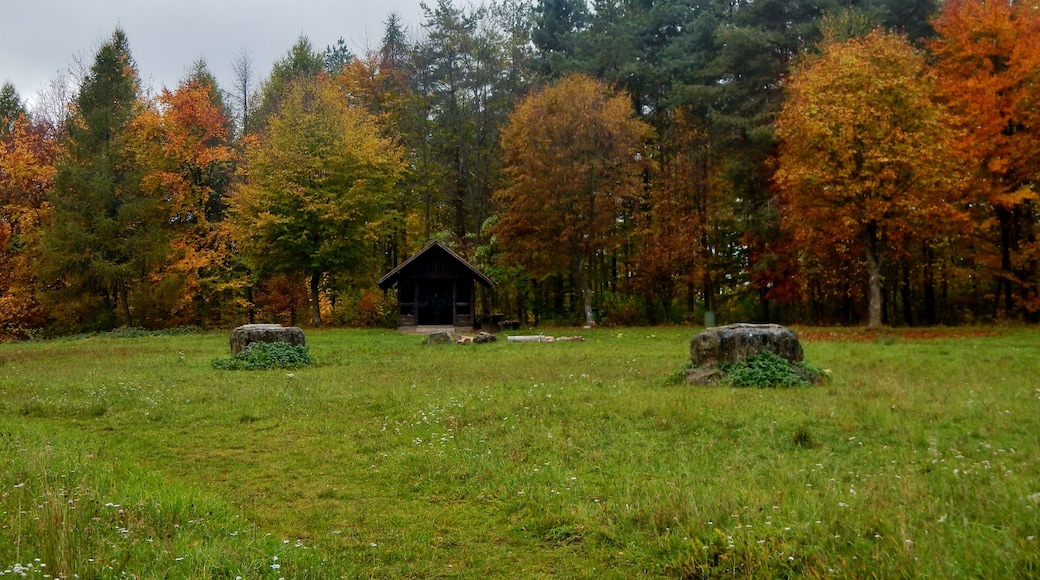 Grillplatz beim beim Höhnle, mit 572 m. ü. NN die höchste Erhebung in Dachtel. Blick über Deufringen, Aidlingen, Venusberg bis nach Sindelfingen und Glemswald möglich.