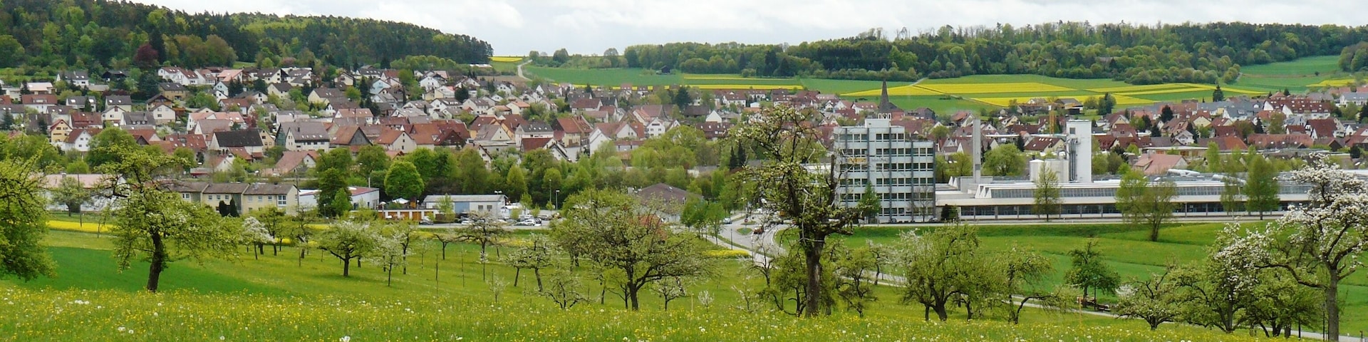 Althengstett