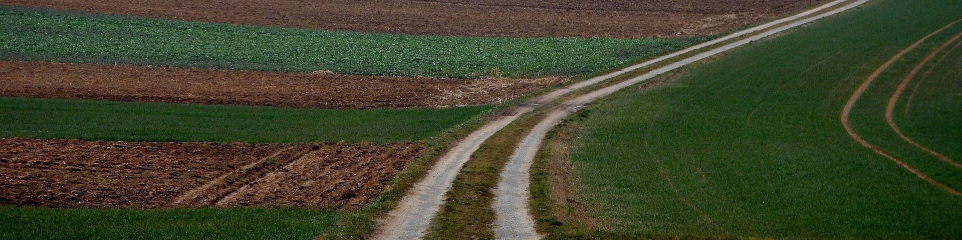 Hochfläche bei Althengstett