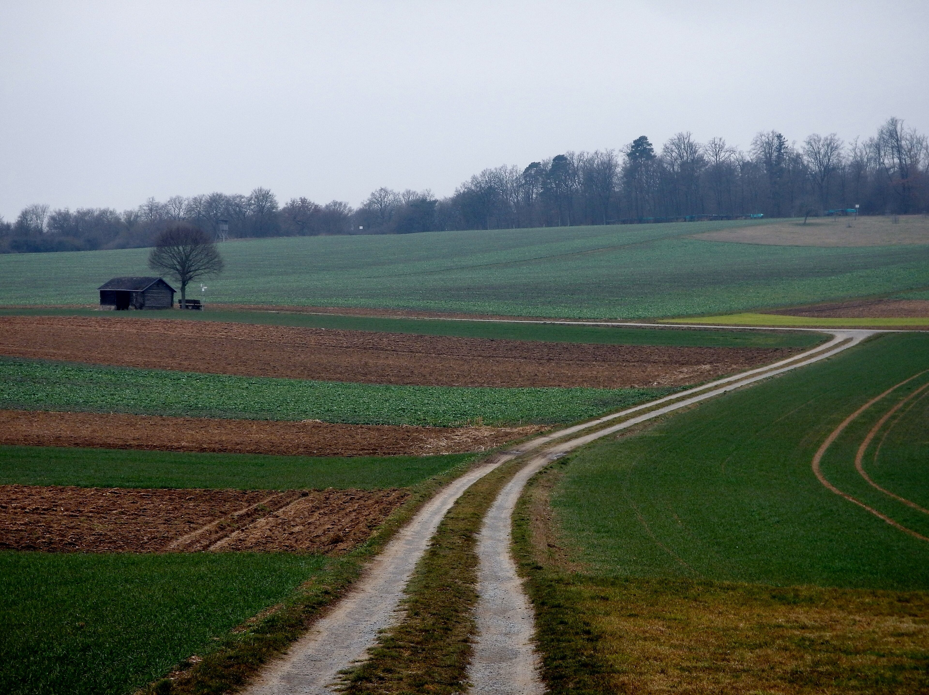 A rural landscape with a dirt road curving through fields, a barn, and a tree in the distance.