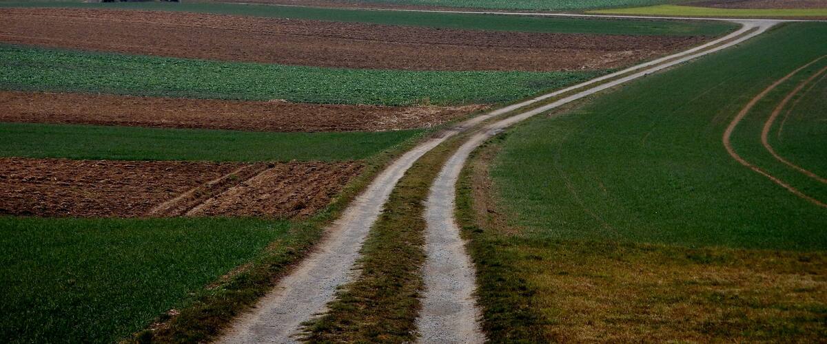 A rural landscape with a dirt road curving through fields, a barn, and a tree in the distance.