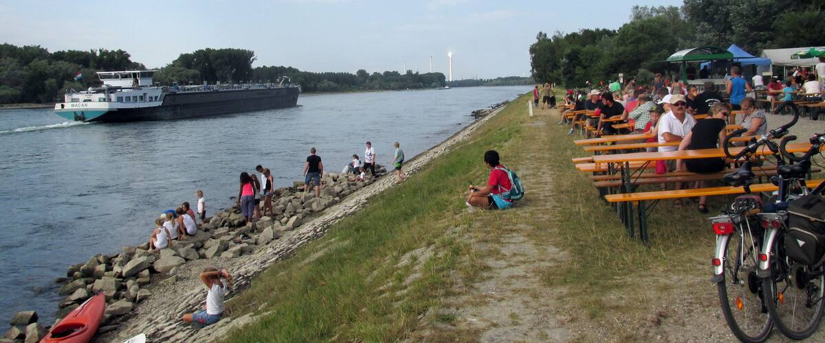 A river with a ferry, picnic tables, and kayaks along the shore.