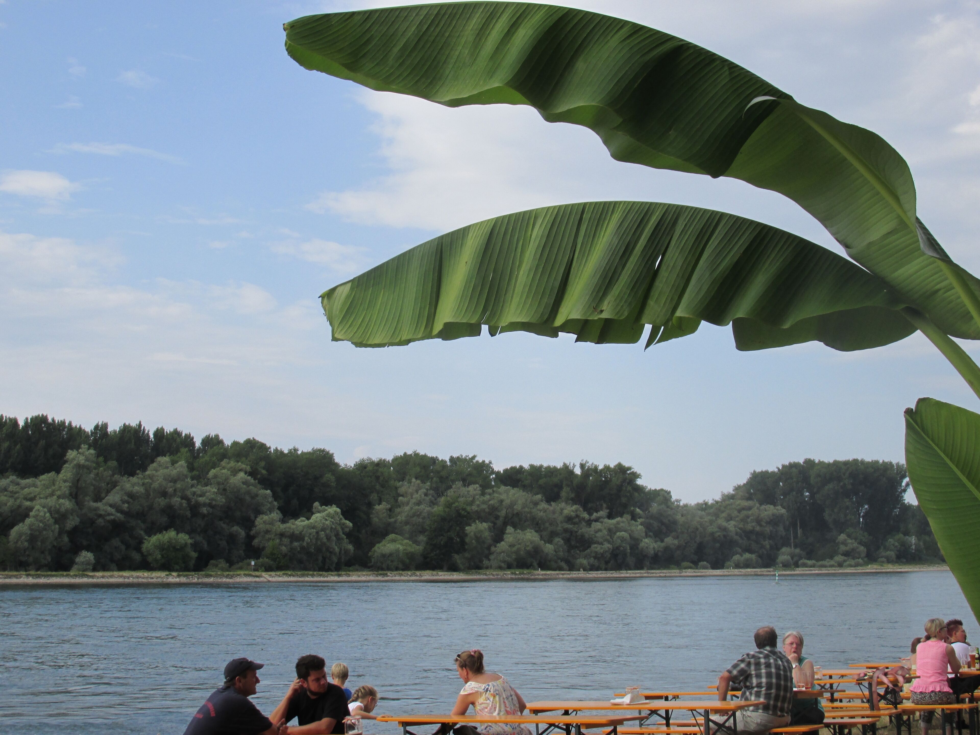 Neuburgweier am Rhein