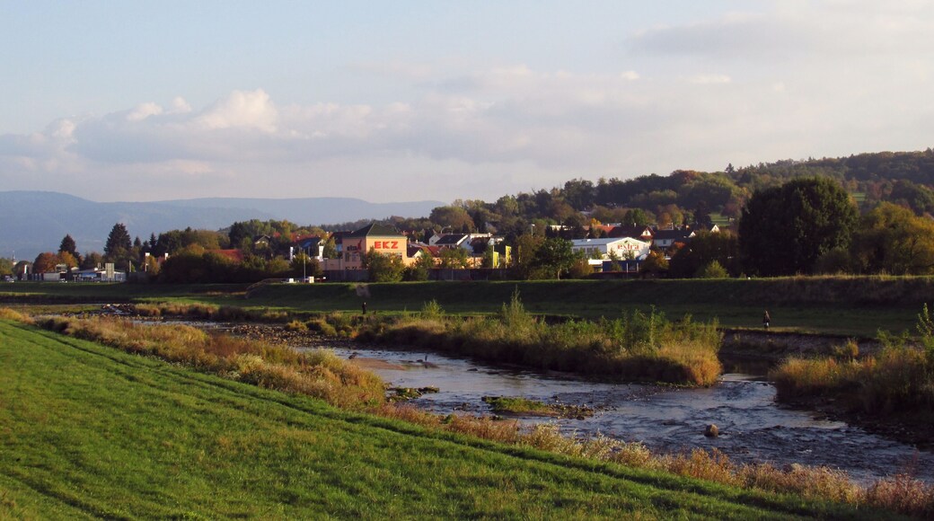 Blick auf Oberndorf im Murgtal