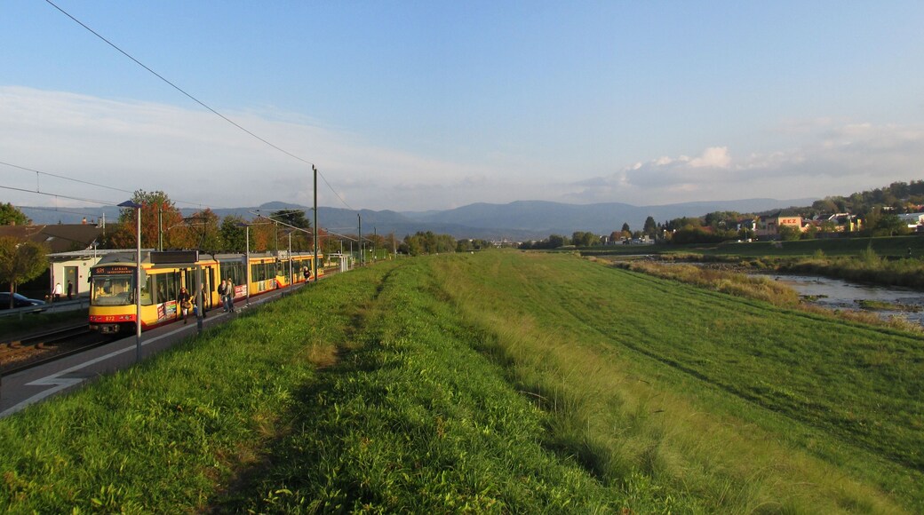 Das Murgtal bei Bischweier