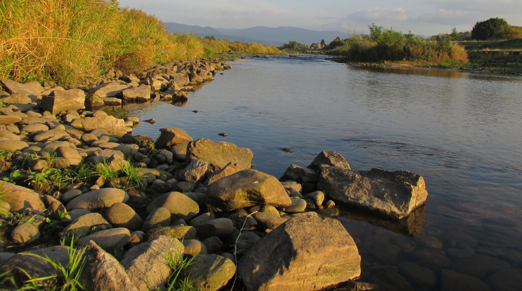 Vorderes Murgtal bei Bischweier
