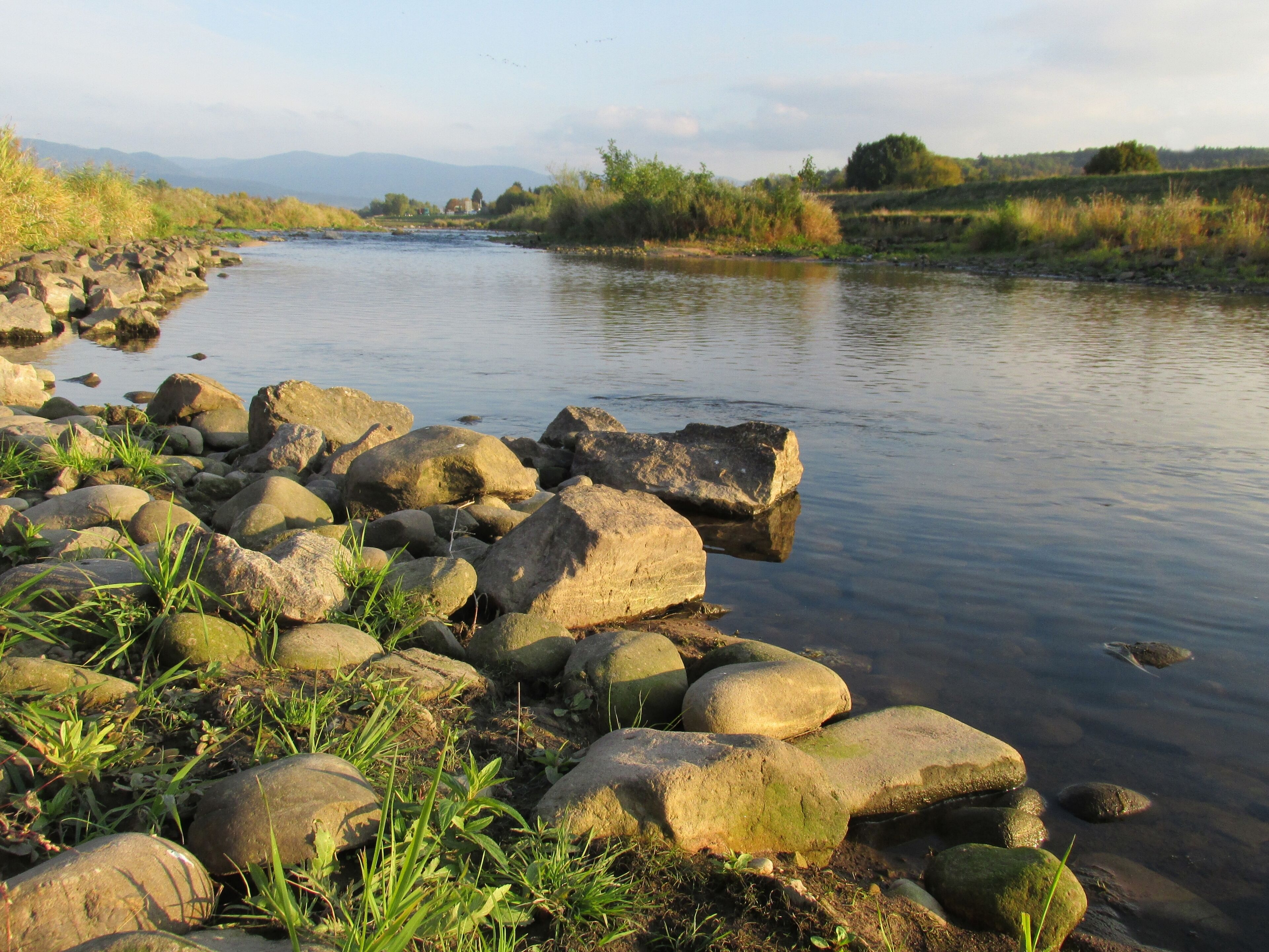 Die Murg bei Bischweier