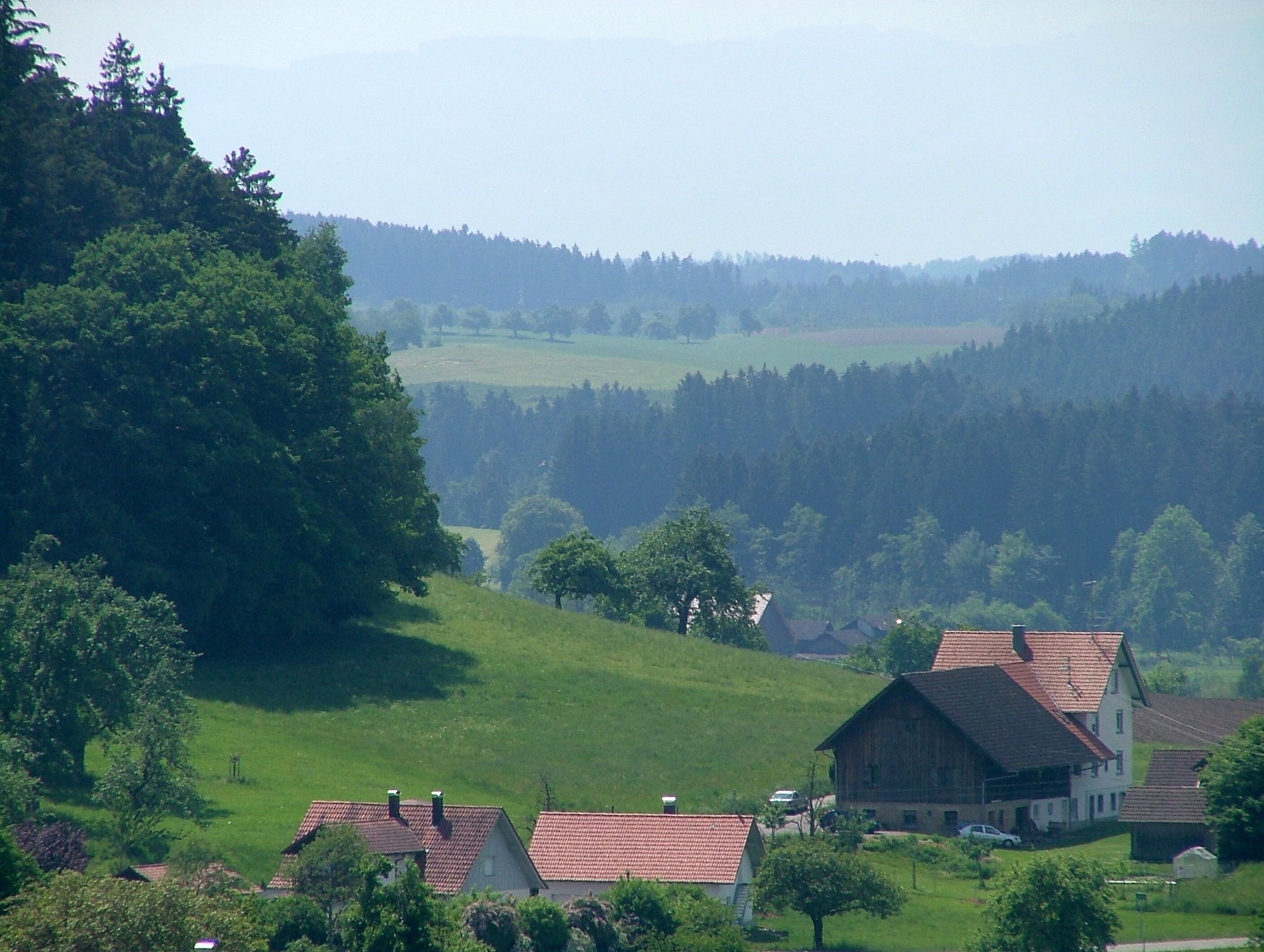 A rural landscape with rolling hills, a large tree, and traditional houses with red roofs.