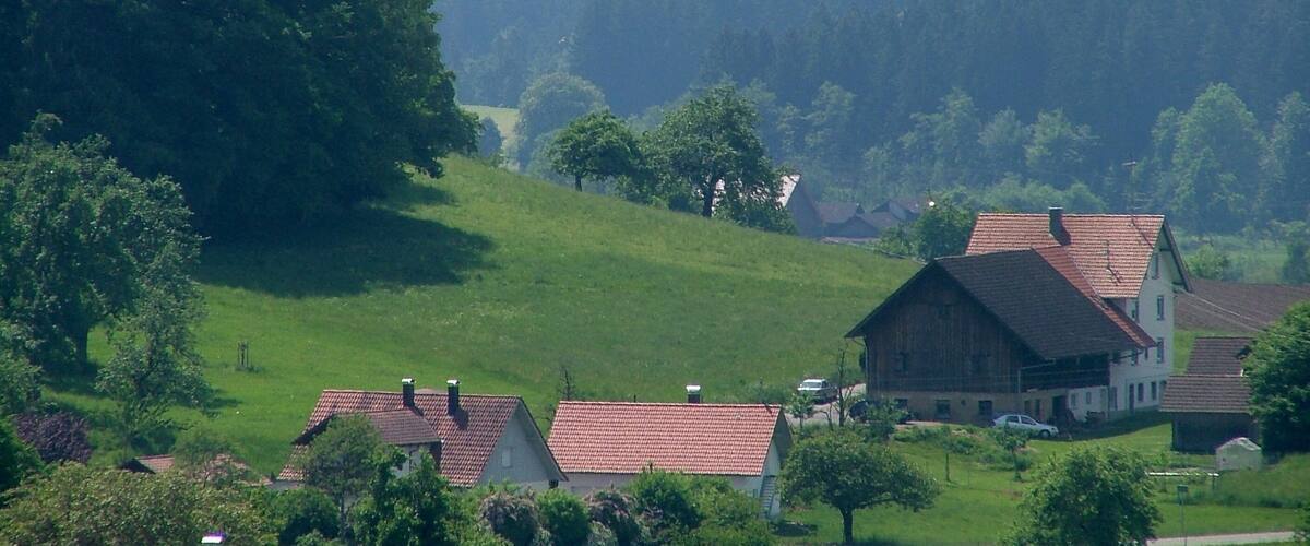 A rural landscape with rolling hills, a large tree, and traditional houses with red roofs.