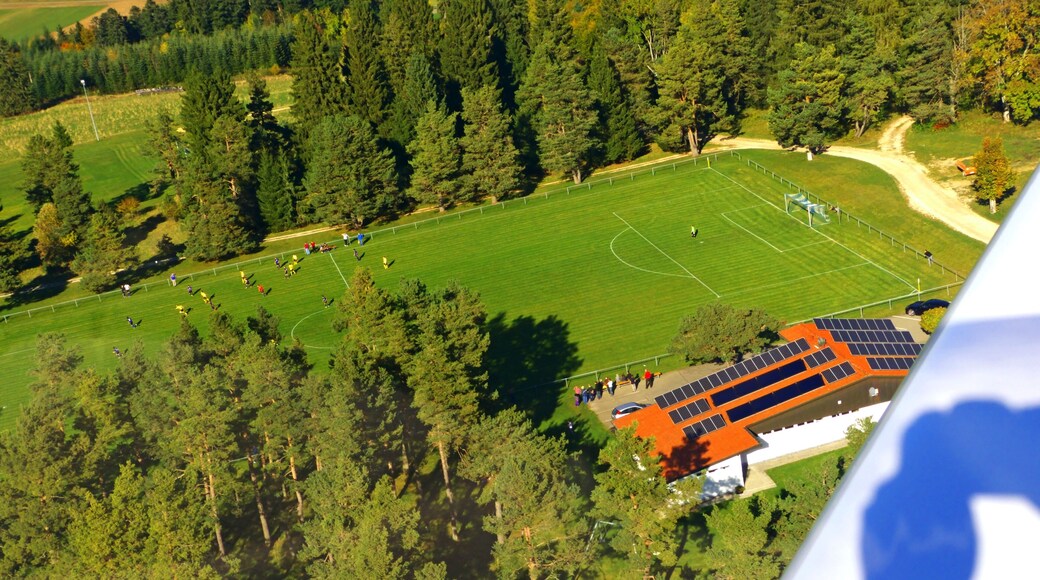 Look Febrok, My Rolex Is Still There