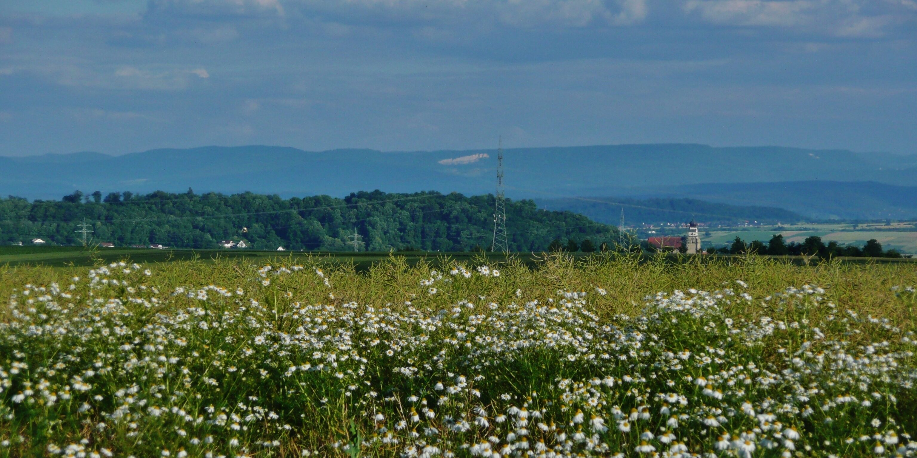 Blick von Deckenpfronn Richtung Herrenberg. Am Horizont die Schwäbische Alb, Bereich Tübingen und Reutlingen. Der Fleck im Albtrauf links des Strommastens zeigt den Bergrutsch bei Mössingen.