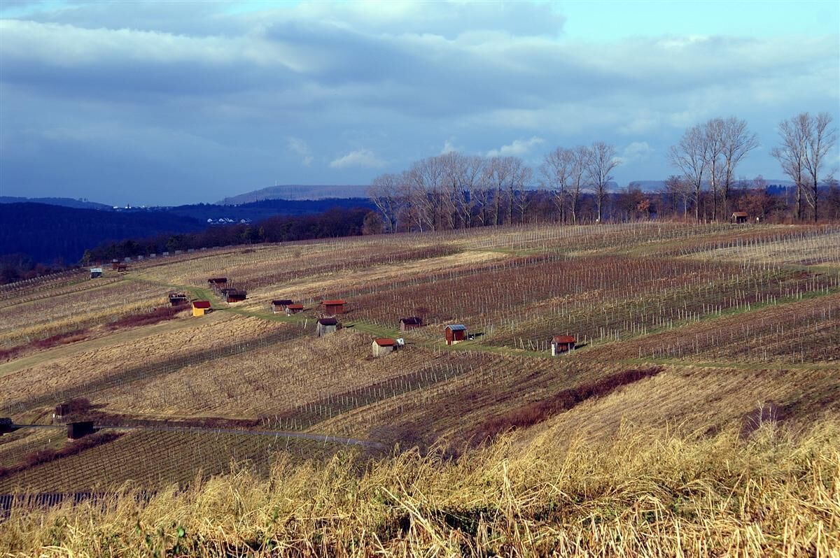 Keltern Dietlingen Weinberge Hochstraße