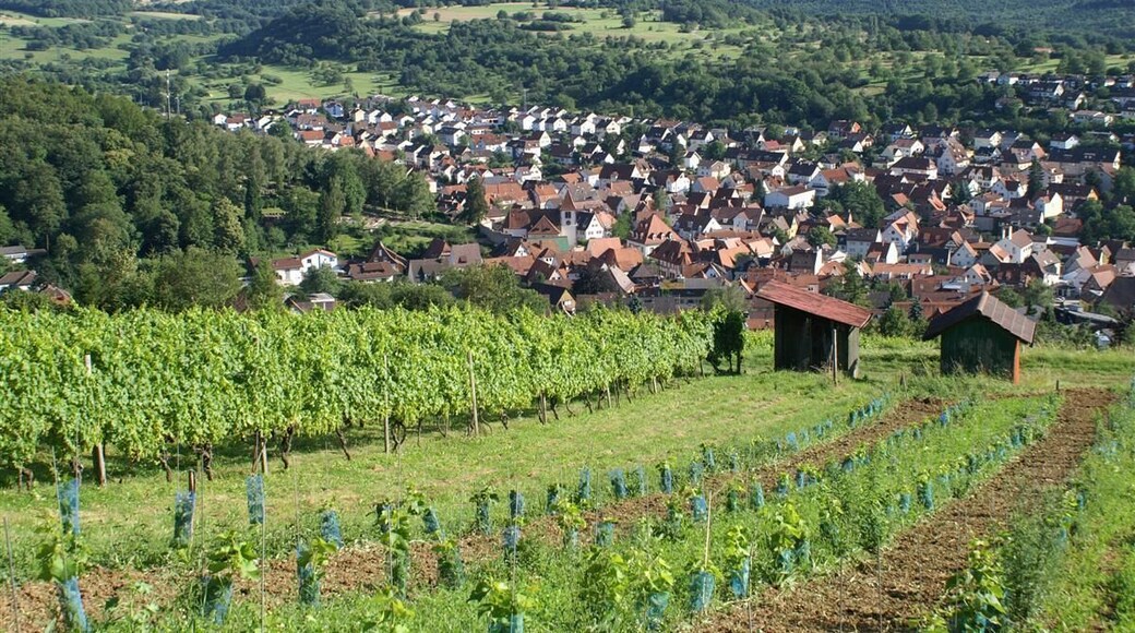 Keltern Dietlingen 2