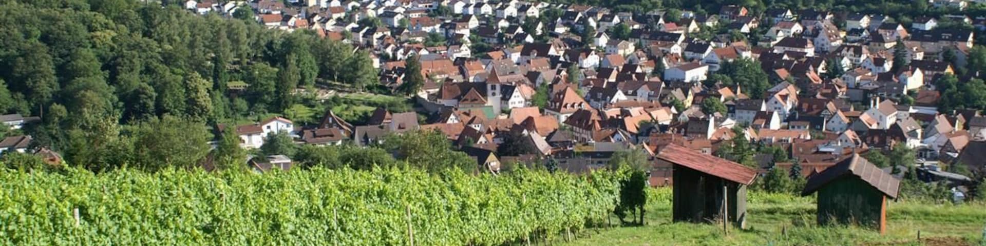 Keltern Dietlingen 2