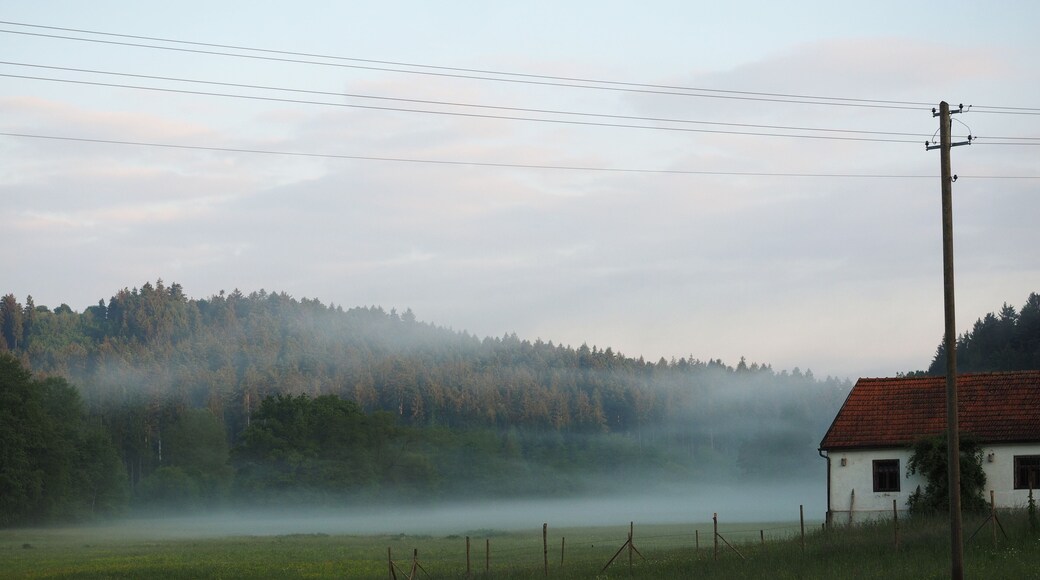 Ground fog (radiation fog) on a summer morning. Lein valley, Germany.