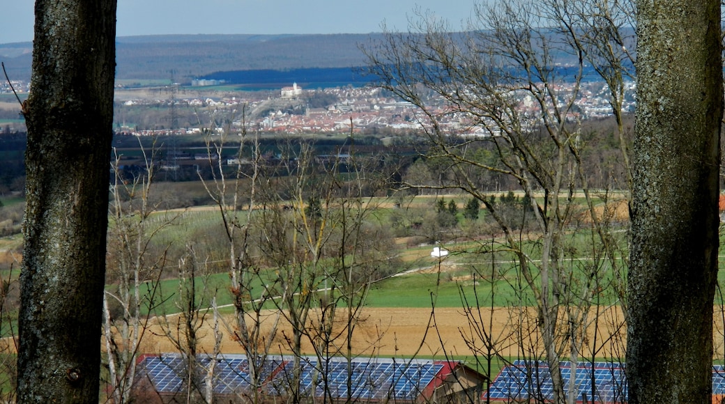 Ausblick Richtung Vaihingen an der Enz