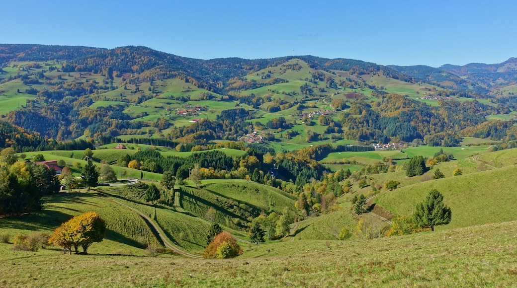 Landschaft um Ehrsberg