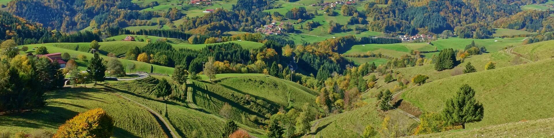 Landschaft um Ehrsberg