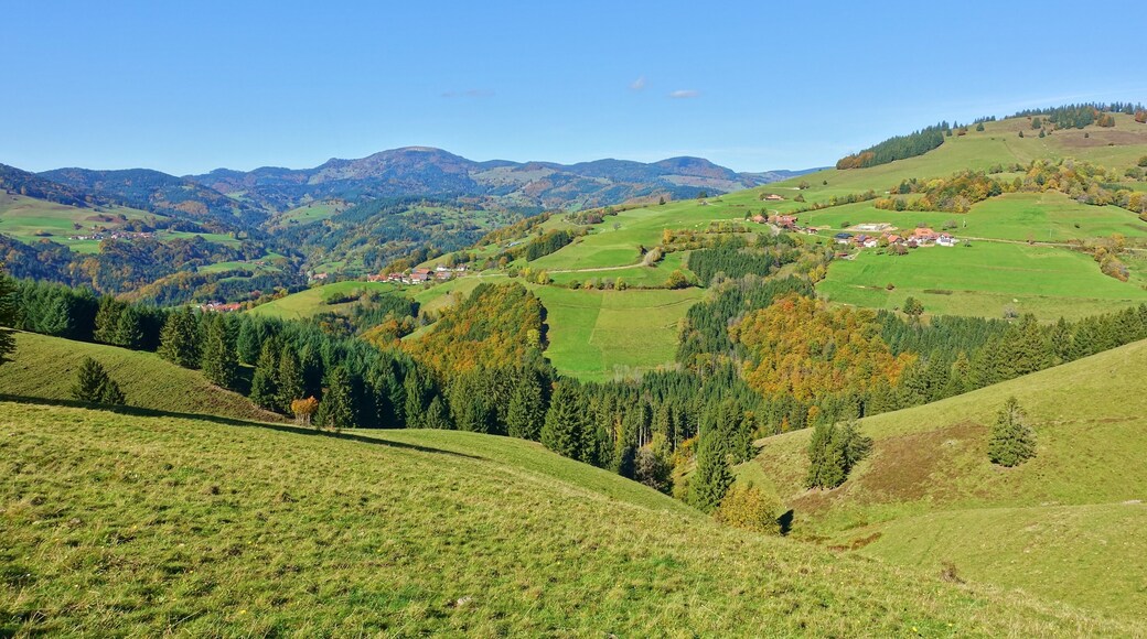 Landschaft um Ehrsberg
