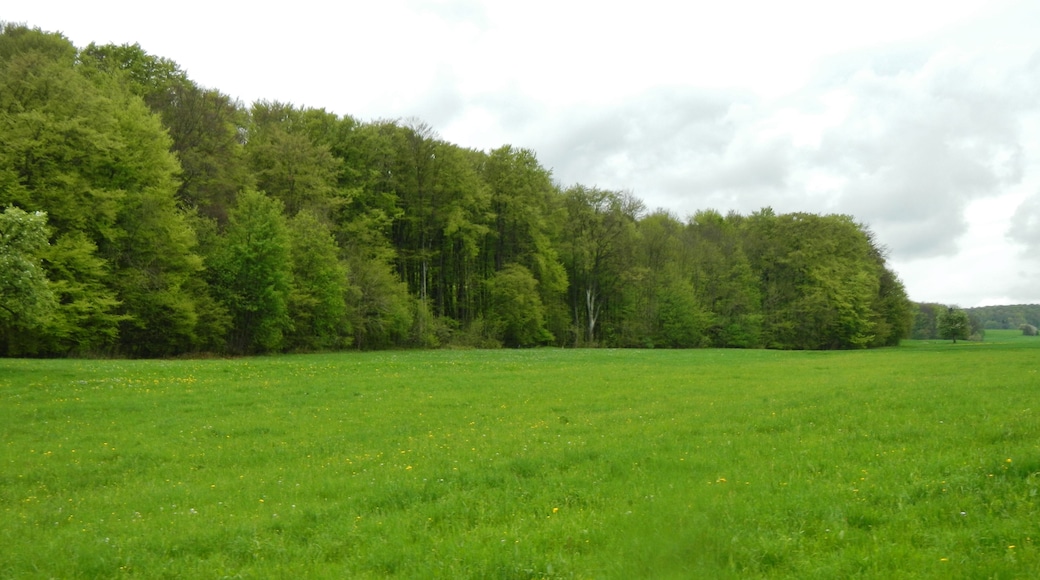 Hochebene der schwäbischen Alb