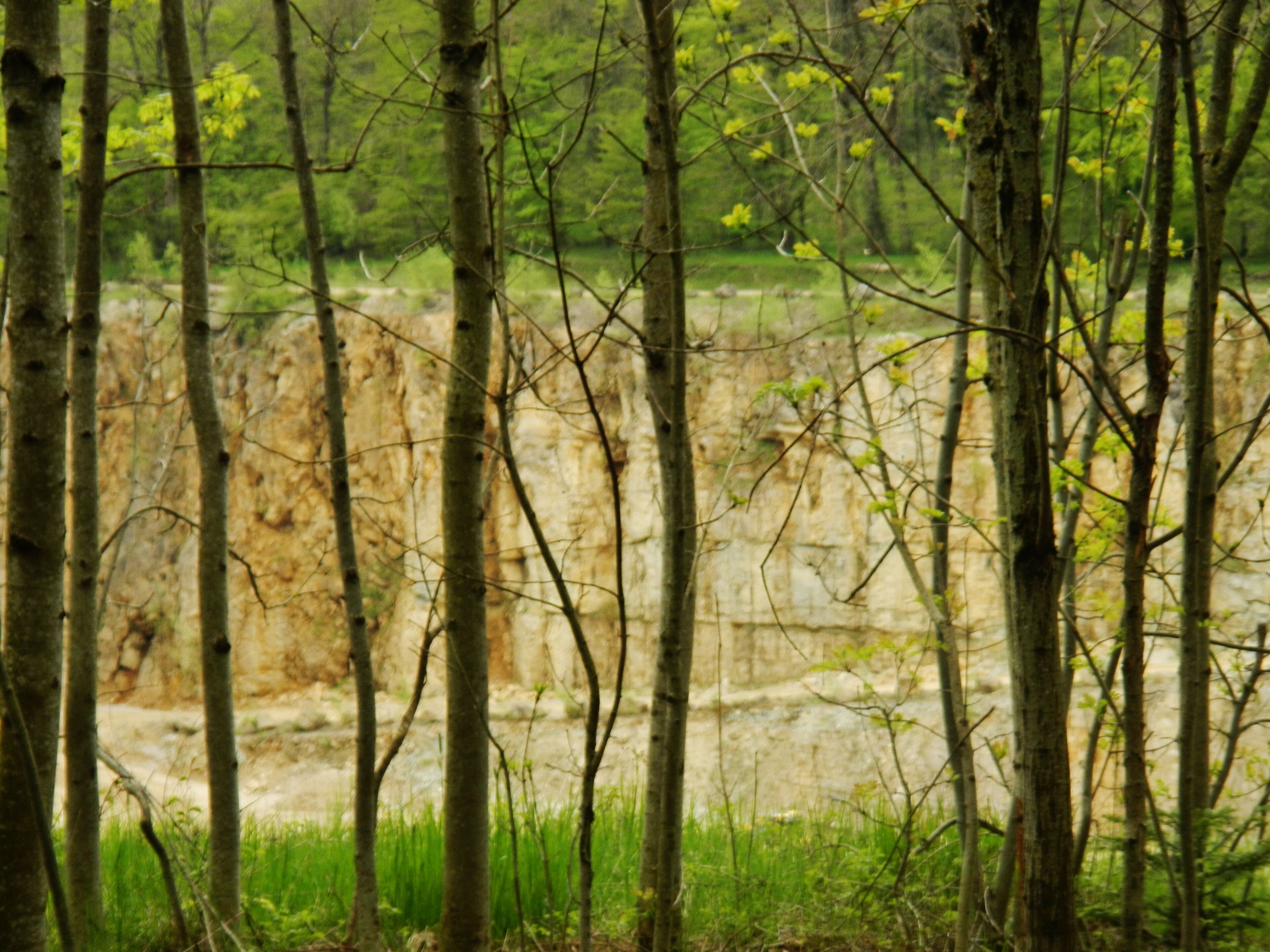 Steinbruch Erkenbrechtsweiler