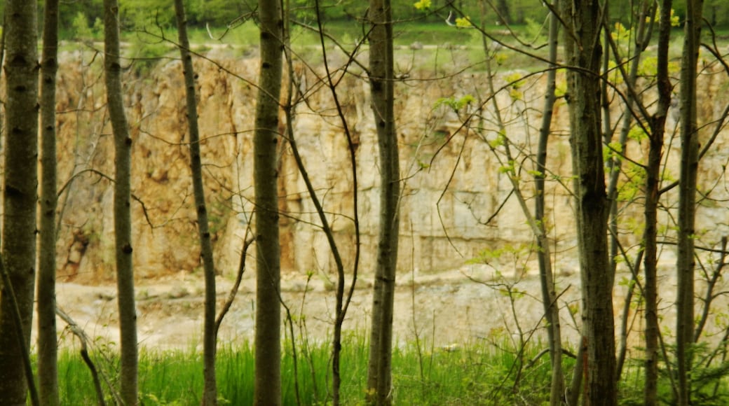 Steinbruch Erkenbrechtsweiler